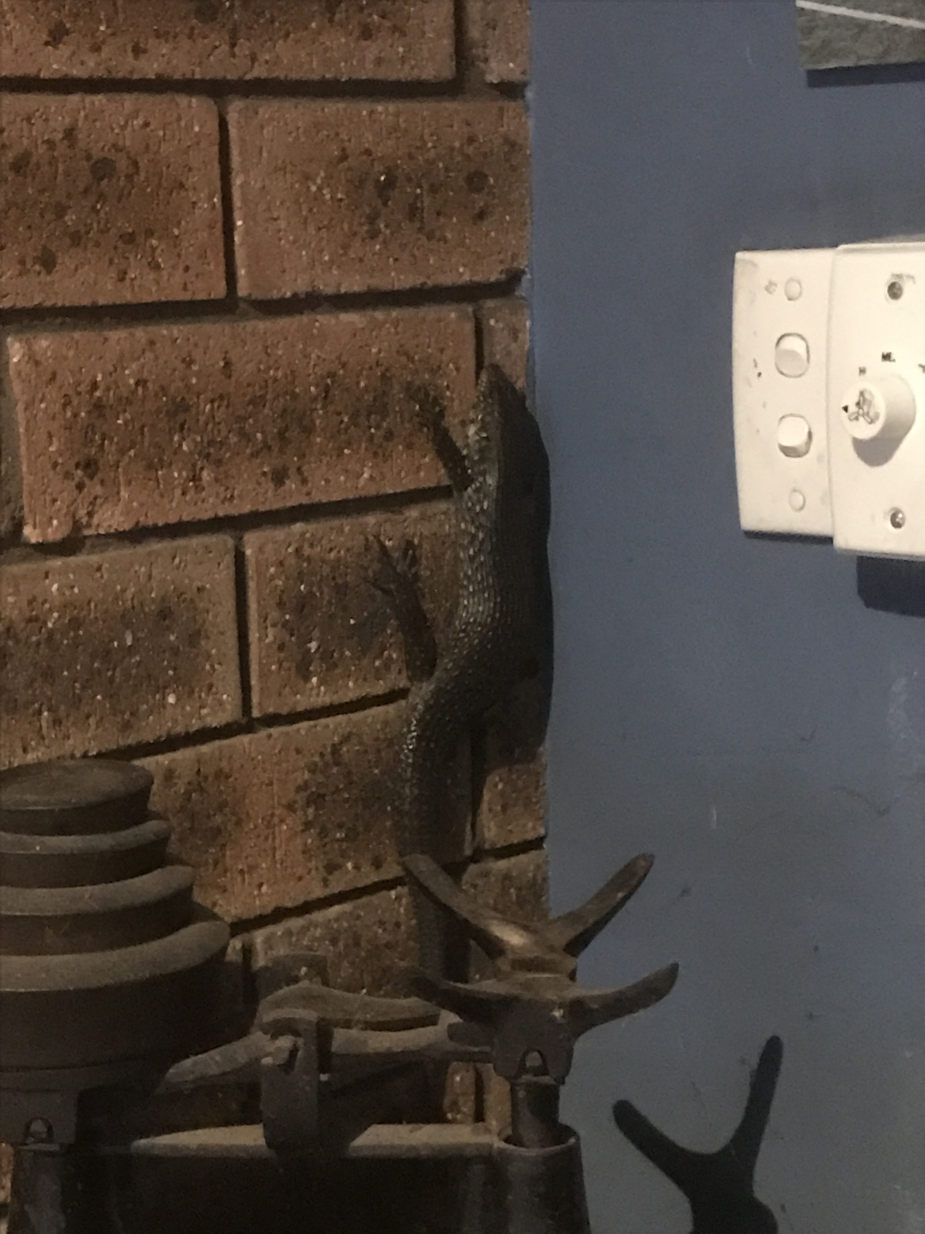 King skink on the wall near the kitchen light switch