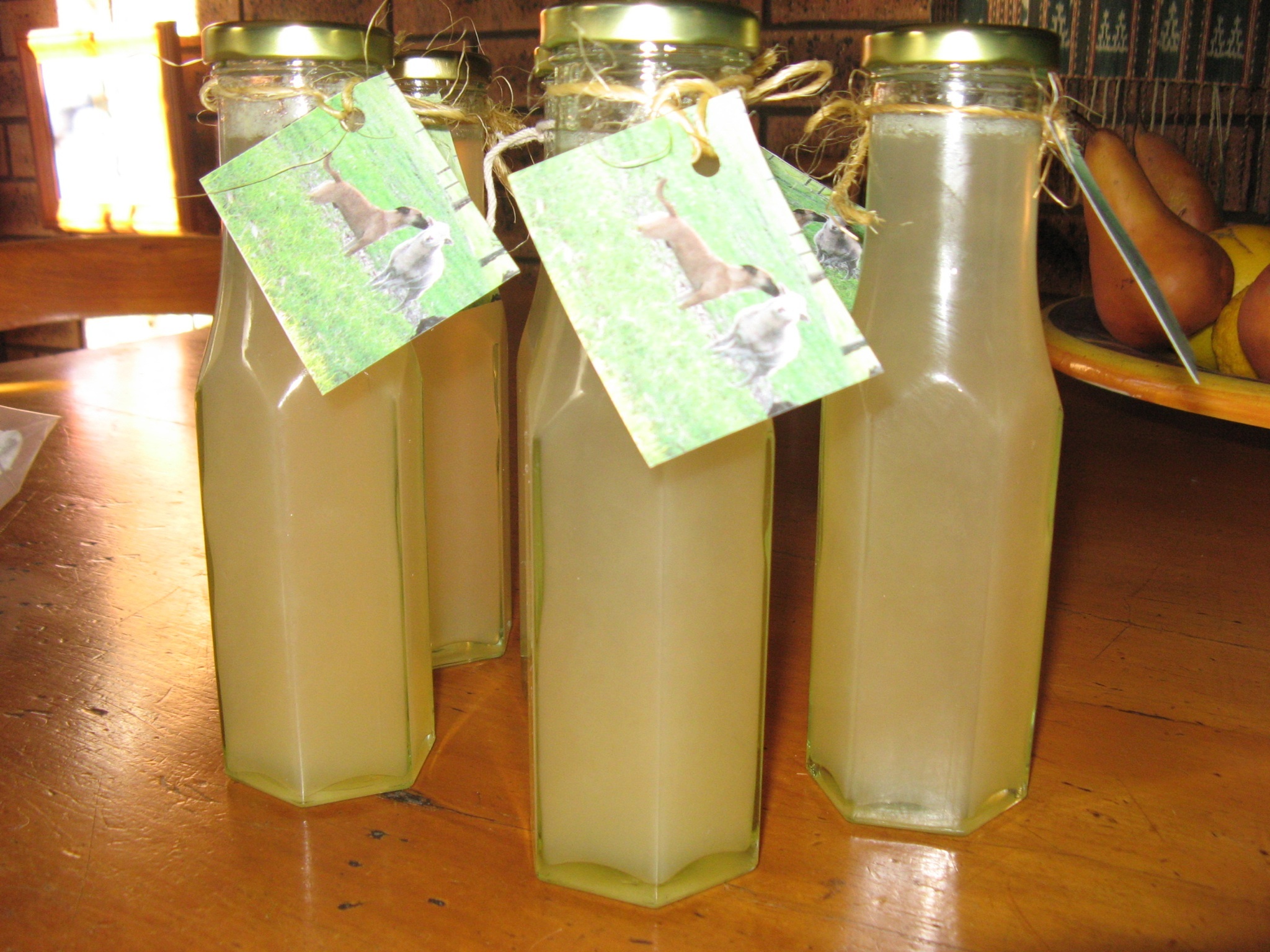 Ginger cordial made from home grown ginger